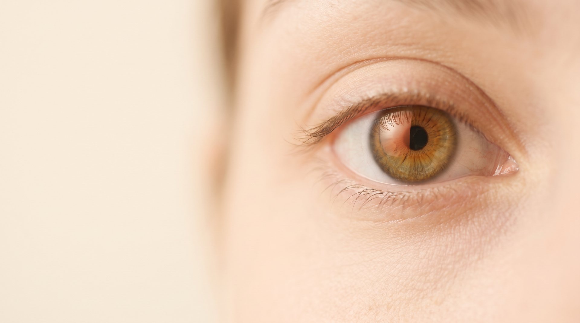 Macro-opname van een oog in warm licht, beeld gemaakt voor deze propositie